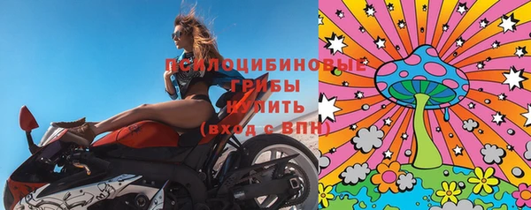 spice Семёнов