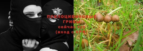 винт Балахна